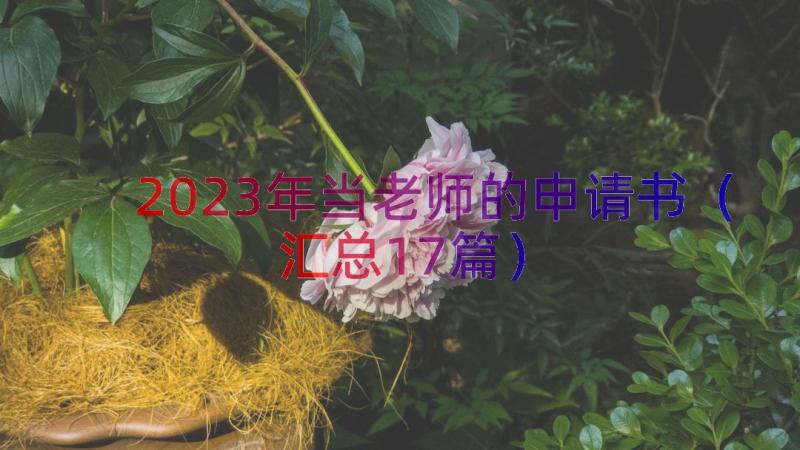 2023年当老师的申请书（汇总17篇）