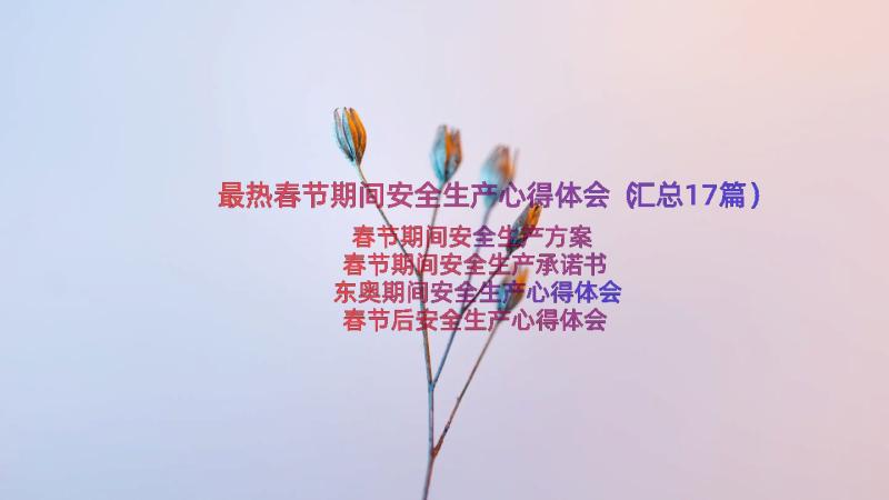 最热春节期间安全生产心得体会（汇总17篇）