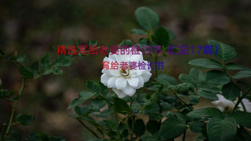 精选写给老婆的检讨书（汇总17篇）