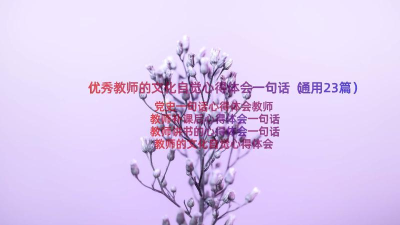 优秀教师的文化自觉心得体会一句话（通用23篇）