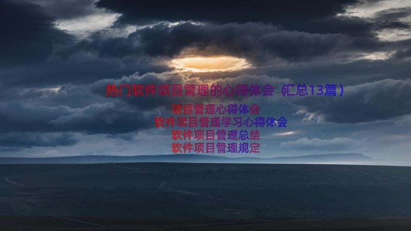 热门软件项目管理的心得体会（汇总13篇）