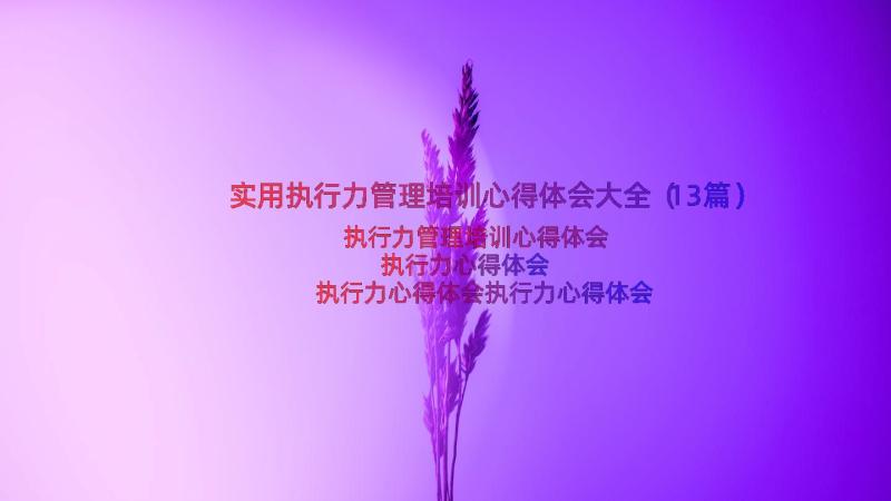 实用执行力管理培训心得体会大全（13篇）