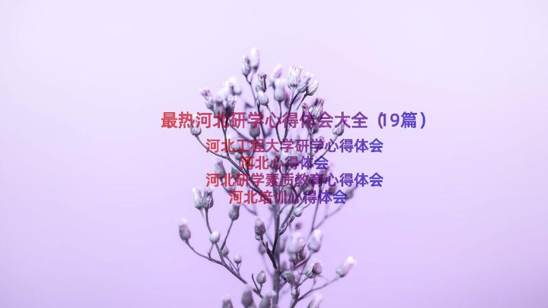 最热河北研学心得体会大全（19篇）