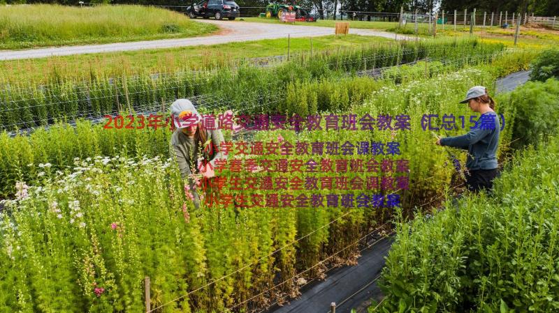 2023年小学道路交通安全教育班会教案（汇总15篇）