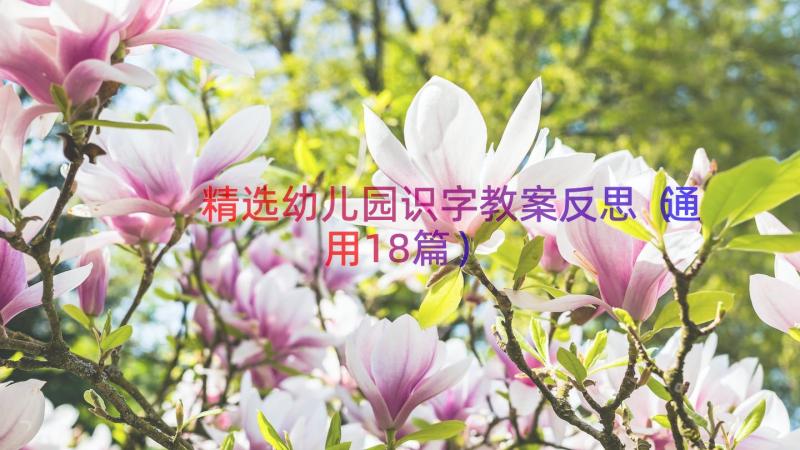 精选幼儿园识字教案反思（通用18篇）