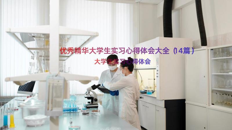 优秀精华大学生实习心得体会大全（14篇）