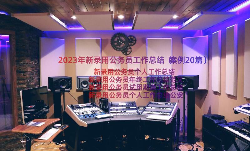 2023年新录用公务员工作总结（案例20篇）