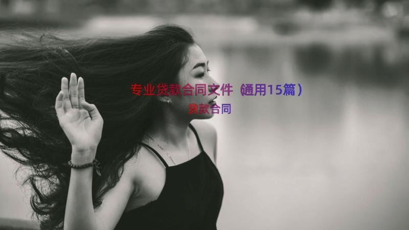 专业贷款合同文件（通用15篇）