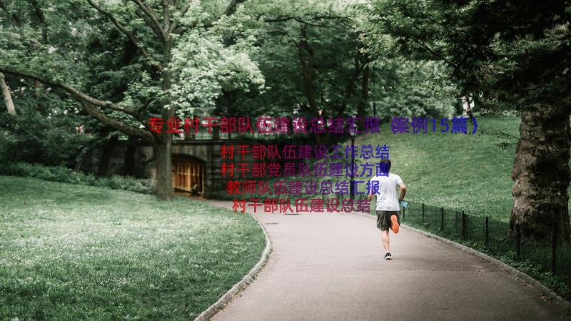 专业村干部队伍建设总结汇报（案例15篇）