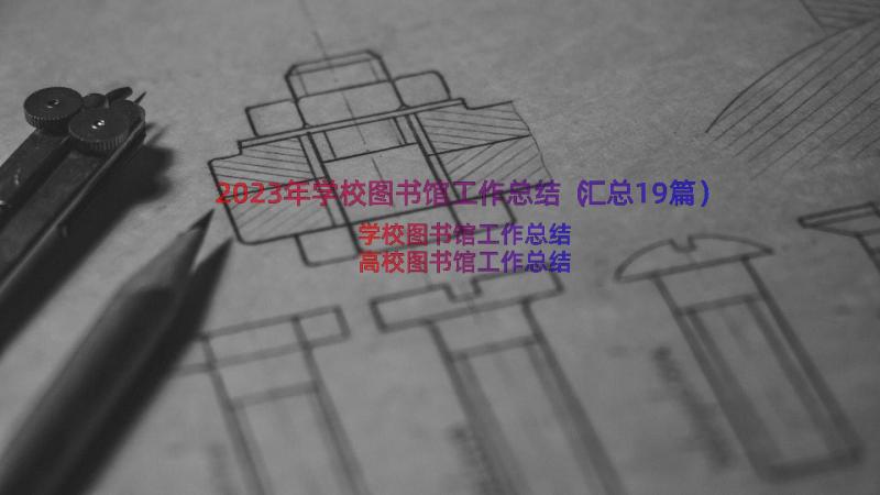 2023年学校图书馆工作总结（汇总19篇）