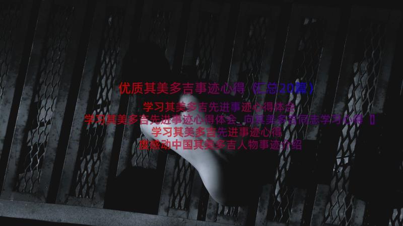 优质其美多吉事迹心得（汇总20篇）