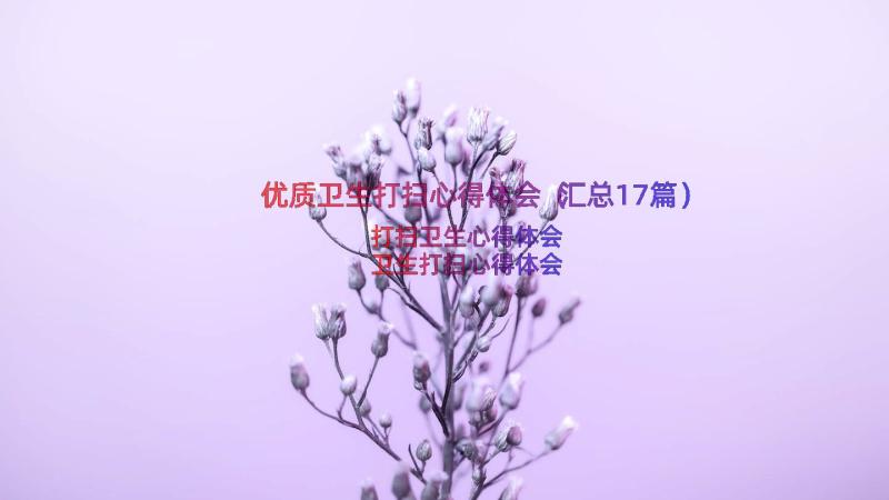 优质卫生打扫心得体会（汇总17篇）