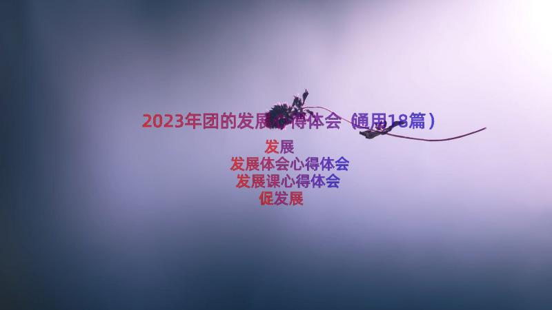 2023年团的发展心得体会（通用18篇）