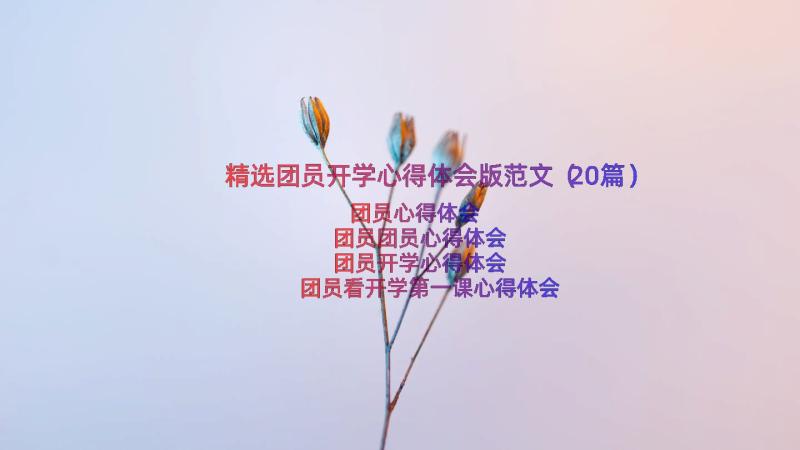 精选团员开学心得体会版范文（20篇）