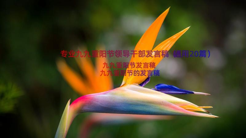 专业九九重阳节领导干部发言稿（通用20篇）