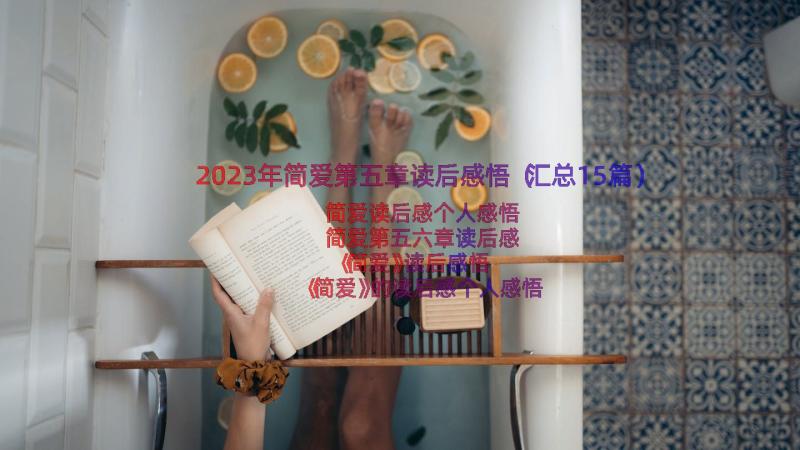 2023年简爱第五章读后感悟（汇总15篇）