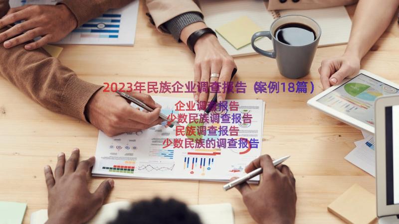 2023年民族企业调查报告（案例18篇）