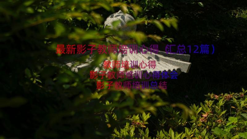 最新影子教师培训心得（汇总12篇）