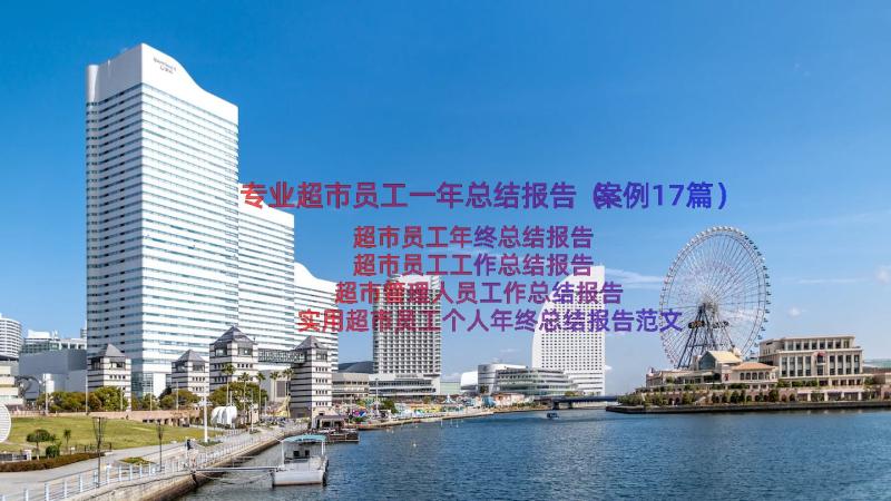 专业超市员工一年总结报告（案例17篇）