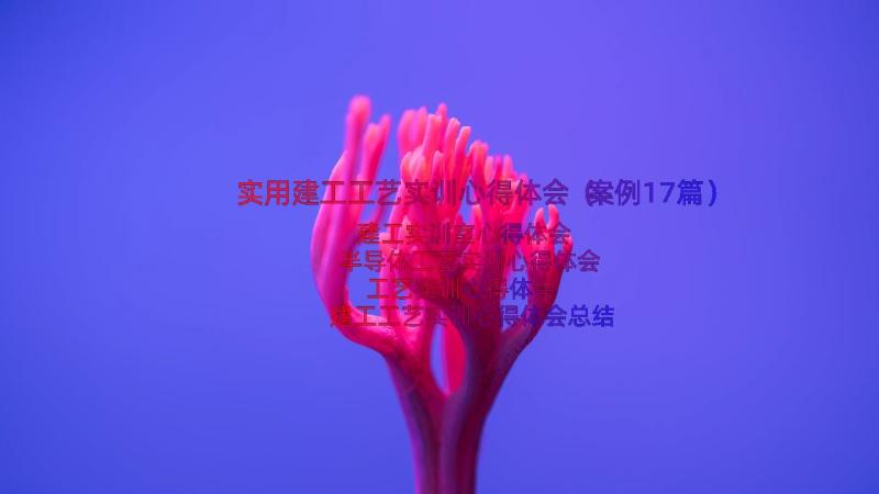 实用建工工艺实训心得体会（案例17篇）