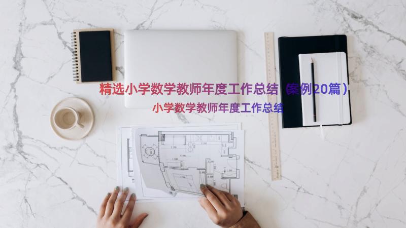 精选小学数学教师年度工作总结（案例20篇）