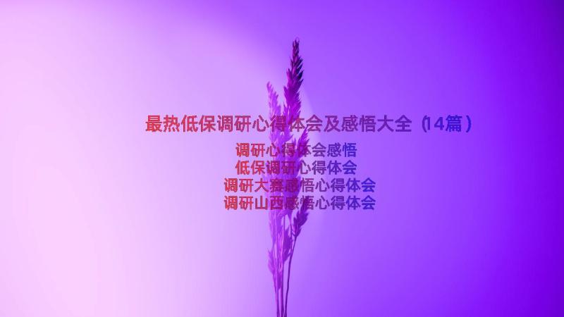 最热低保调研心得体会及感悟大全（14篇）