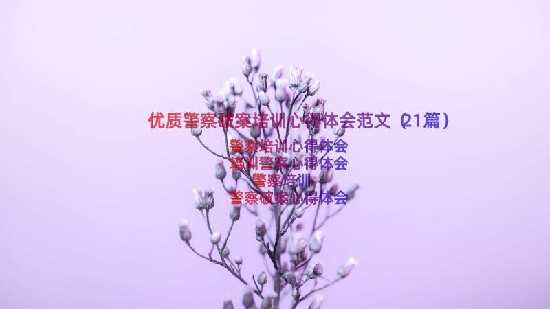 优质警察破案培训心得体会范文（21篇）