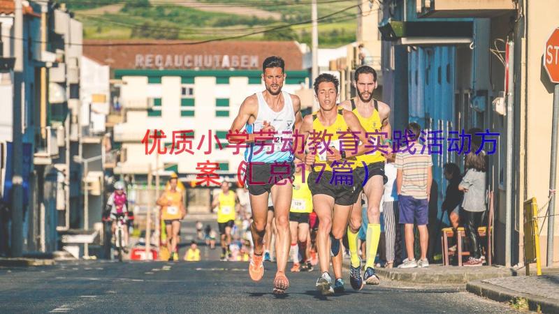 优质小学劳动教育实践活动方案（汇总17篇）