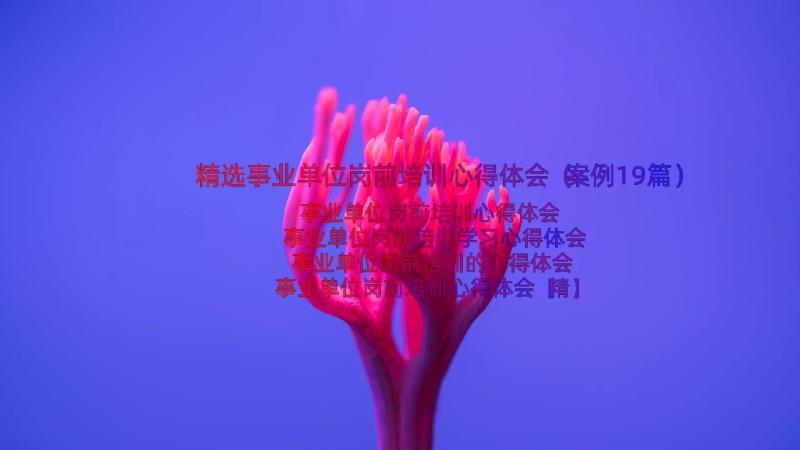 精选事业单位岗前培训心得体会（案例19篇）