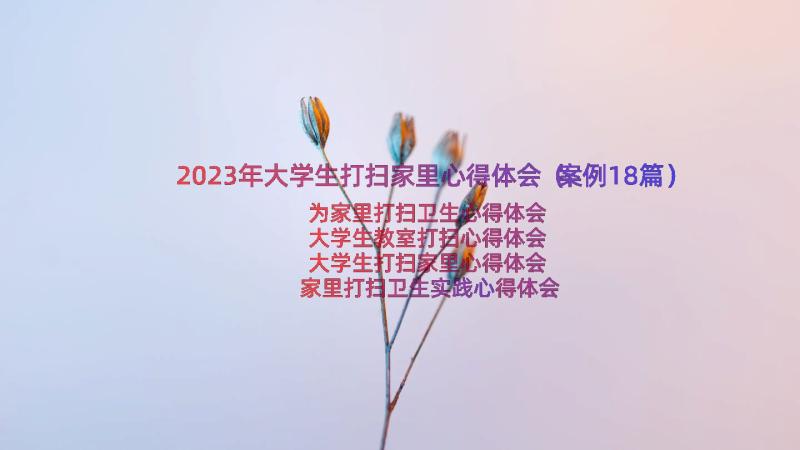 2023年大学生打扫家里心得体会（案例18篇）