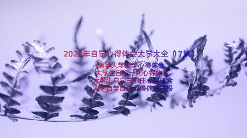 2023年自学心得体会大学大全（17篇）