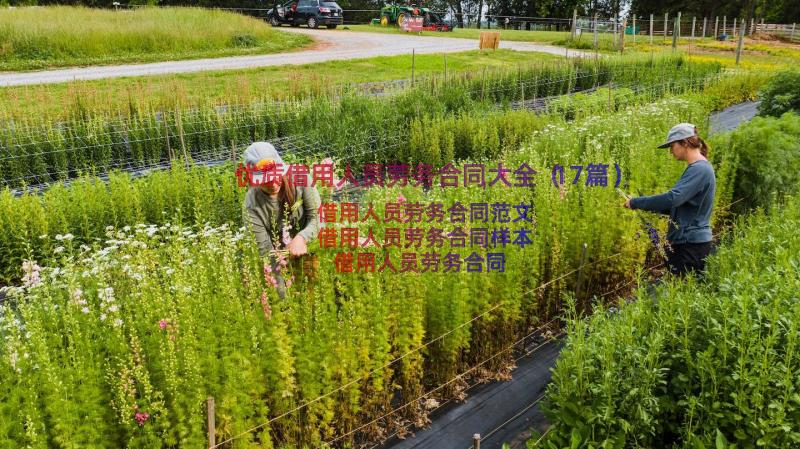 优质借用人员劳务合同大全（17篇）