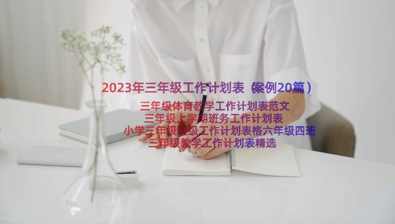 2023年三年级工作计划表（案例20篇）