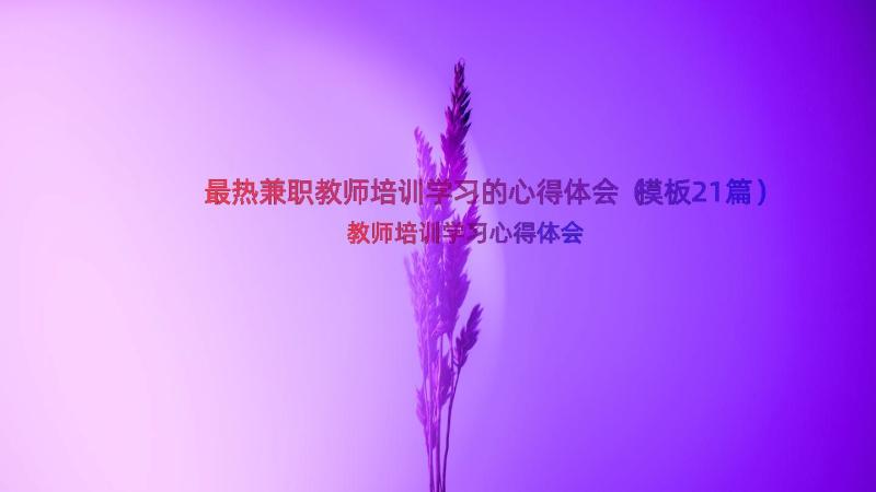 最热兼职教师培训学习的心得体会（模板21篇）