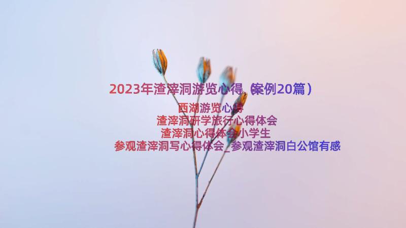 2023年渣滓洞游览心得（案例20篇）