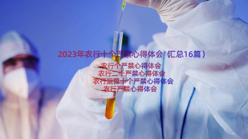 2023年农行十个严禁心得体会（汇总16篇）