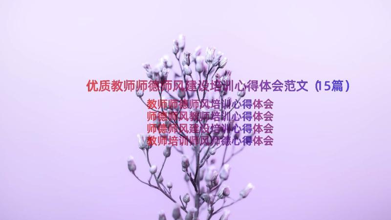 优质教师师德师风建设培训心得体会范文（15篇）