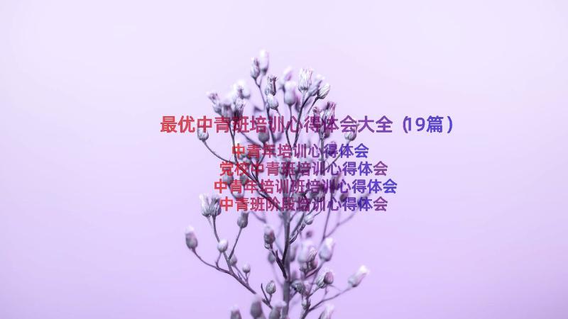 最优中青班培训心得体会大全（19篇）