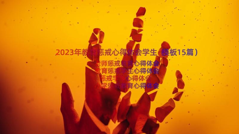 2023年教育惩戒心得体会学生（模板15篇）