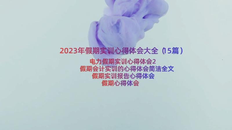 2023年假期实训心得体会大全（15篇）