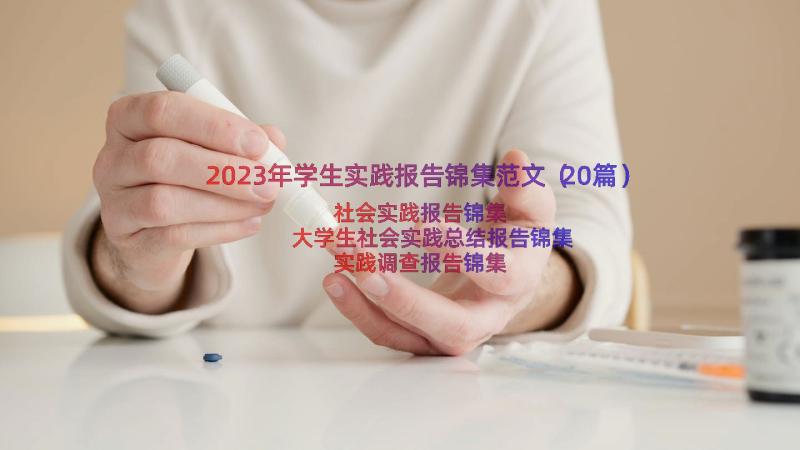 2023年学生实践报告锦集范文（20篇）