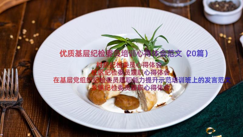 优质基层纪检委员培训心得体会范文（20篇）