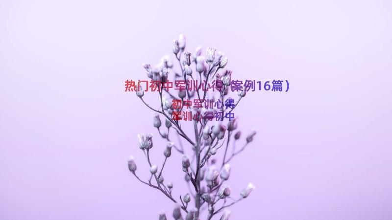 热门初中军训心得（案例16篇）