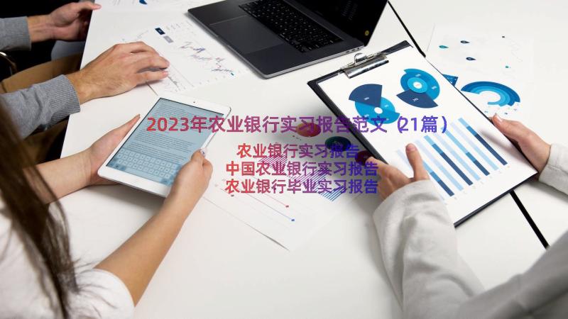 2023年农业银行实习报告范文（21篇）