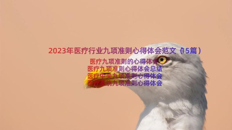 2023年医疗行业九项准则心得体会范文（15篇）