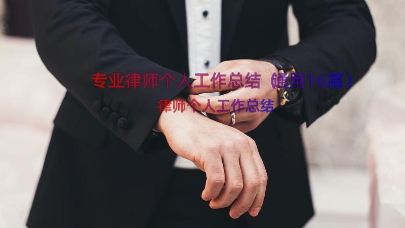 专业律师个人工作总结（通用16篇）