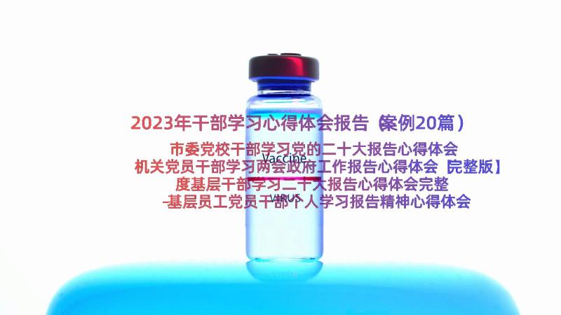 2023年干部学习心得体会报告（案例20篇）