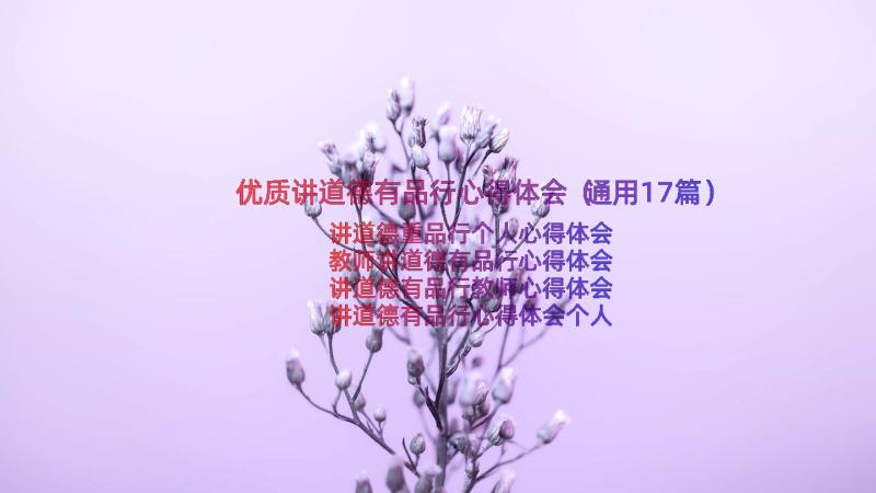 优质讲道德有品行心得体会（通用17篇）