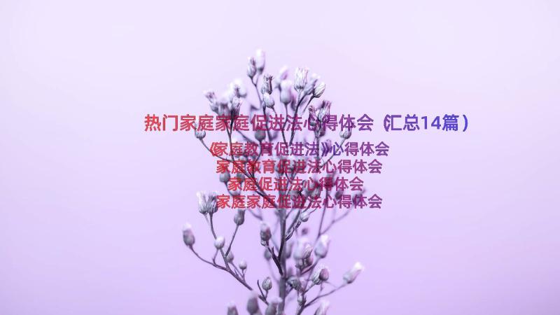 热门家庭家庭促进法心得体会（汇总14篇）