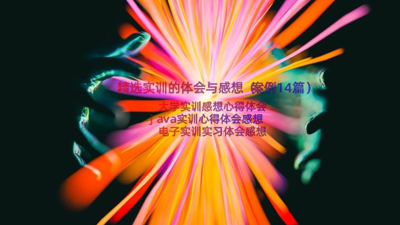 精选实训的体会与感想（案例14篇）